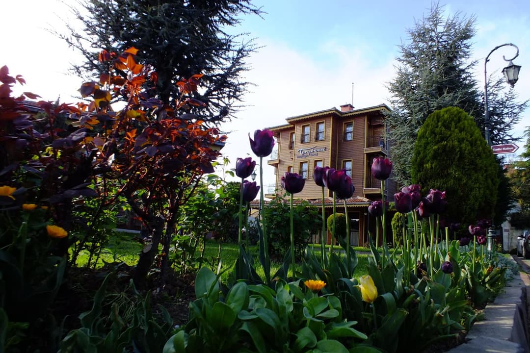 Turquhouse Otel fotoğrafı