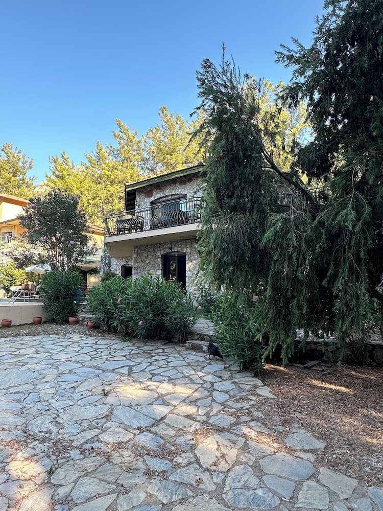 Alp Inn Butik Otel fotoğrafı