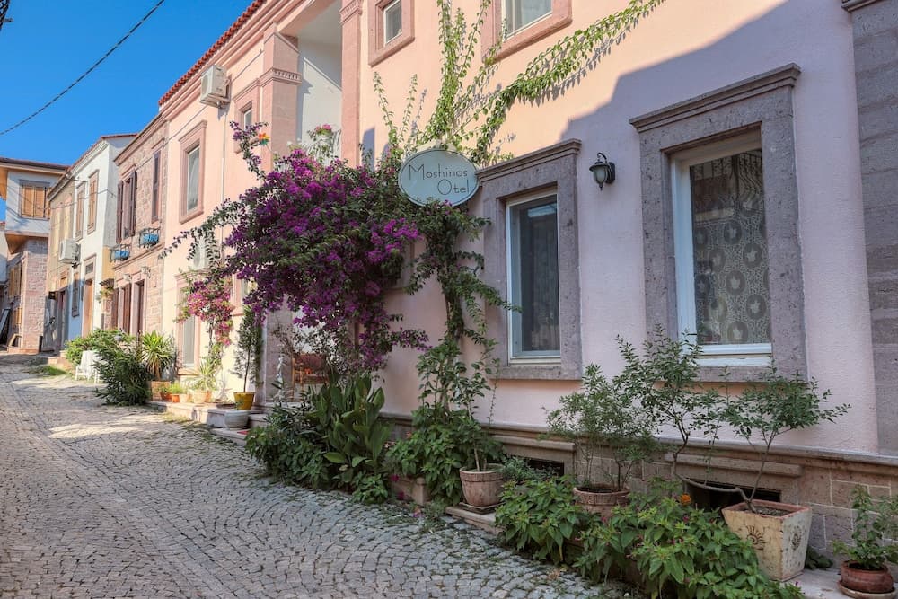 Moshinos Otel - Image 1