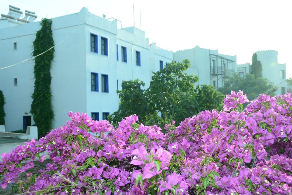 Bodrum Park Hotel fotoğrafı