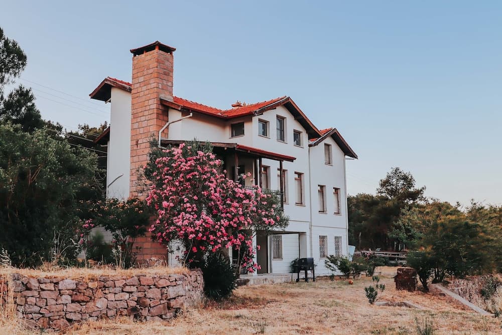 Moon Ayvalık fotoğrafı