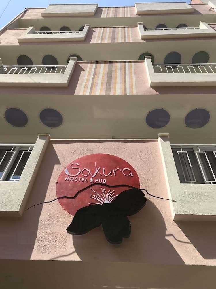 Sakura Hostel & Pub fotoğrafı