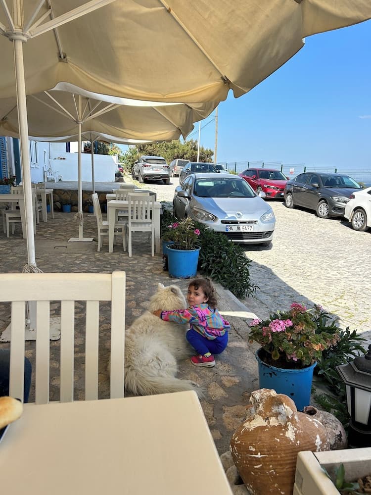 Onal Taş Konak - Image 3