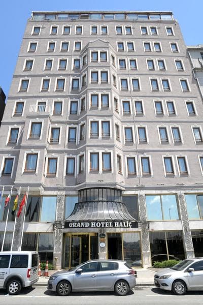 Grand Halic Goldenhorn - Image 1